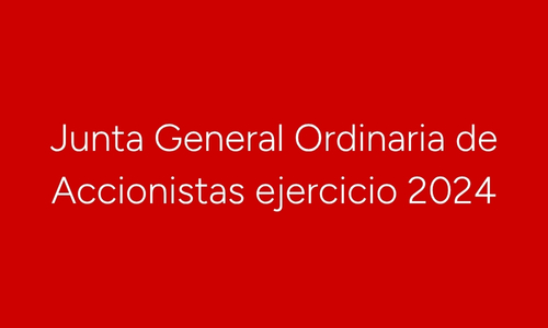 Junta General Ordinaria de Accionistas ejercicio 2024 (2)